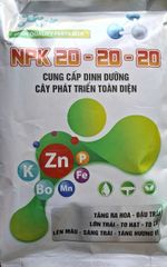 (Lớn trái mít) Bộ đôi lớn trái mít, trái to tròn đều, hạn chế méo trái, nở gai hết cỡ, múi mít to, nặng ký, chống nứt trái