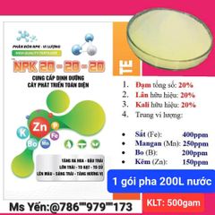 (Lớn trái mít) Bộ đôi lớn trái mít, trái to tròn đều, hạn chế méo trái, nở gai hết cỡ, múi mít to, nặng ký, chống nứt trái