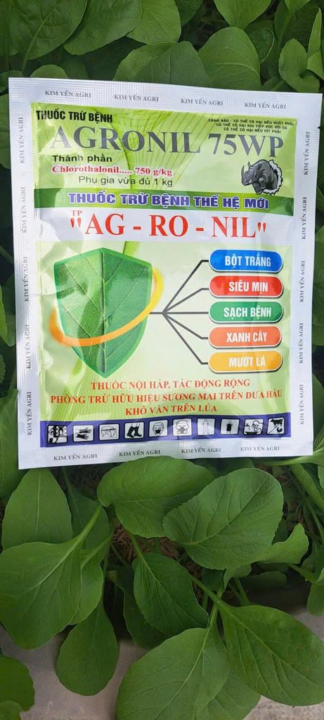 Thuốc trừ bệnh AGRONIL 75WP 50gam: trị bệnh khô vằn trên lúa, trừ bệnh sương mai và thán thư trên dưa hấu