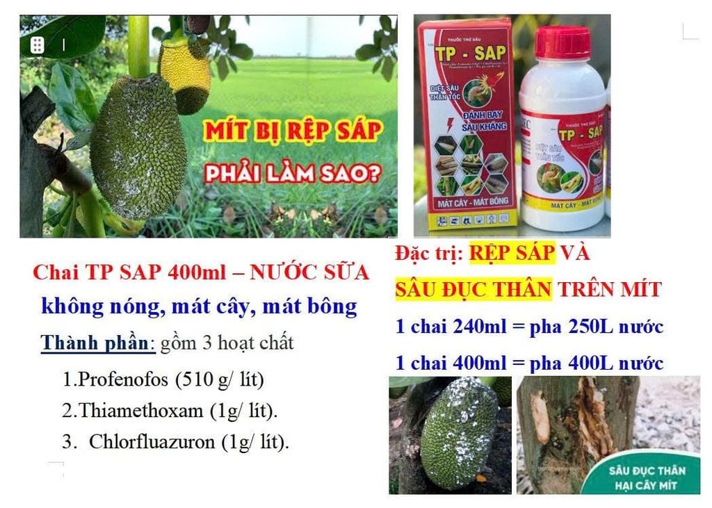 Thuốc trị rệp sáp mít, sâu đục thân và trị sâu đục trái mít