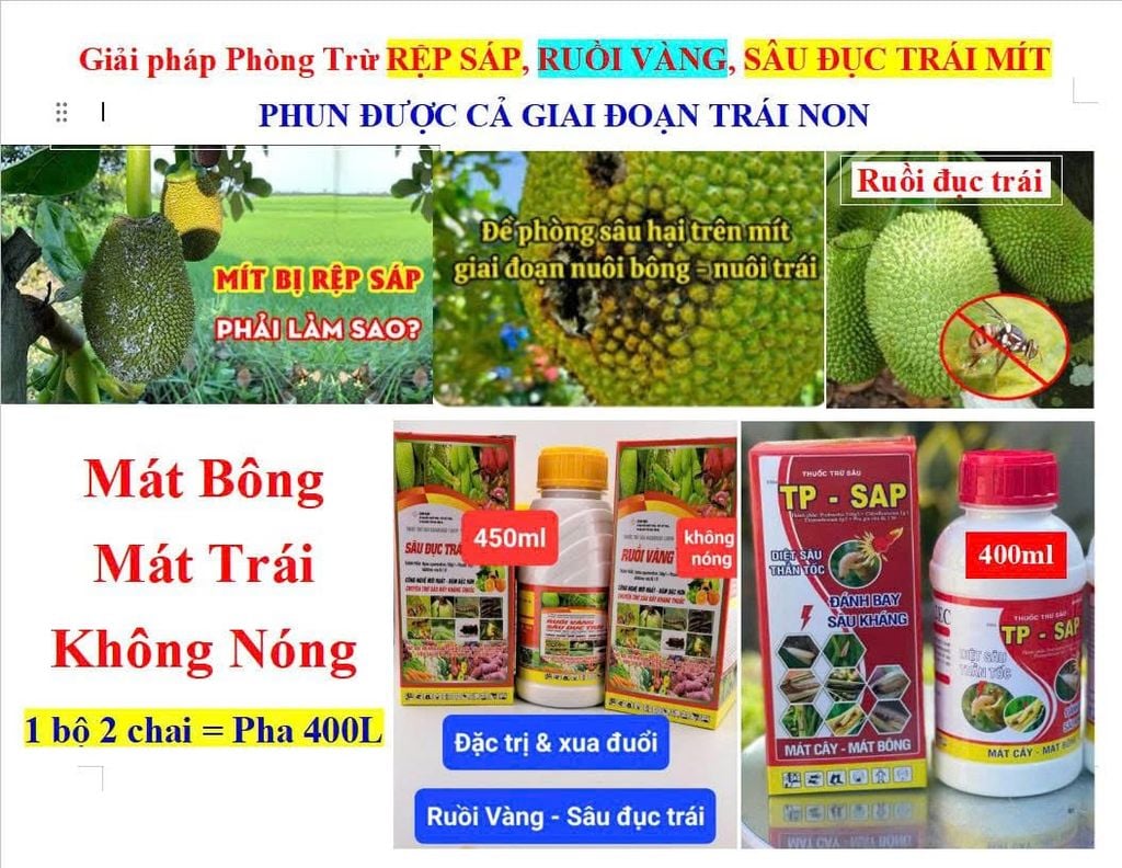 Thuốc trị rệp sáp mít, sâu đục thân và trị sâu đục trái mít