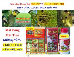 (Lớn trái mít, Sâu đục trái mít, Rệp sáp mít) Phân thúc lớn trái mít, nặng ký và phòng trị sâu đục trái mít, trừ rệp sáp mít không gây nóng trái