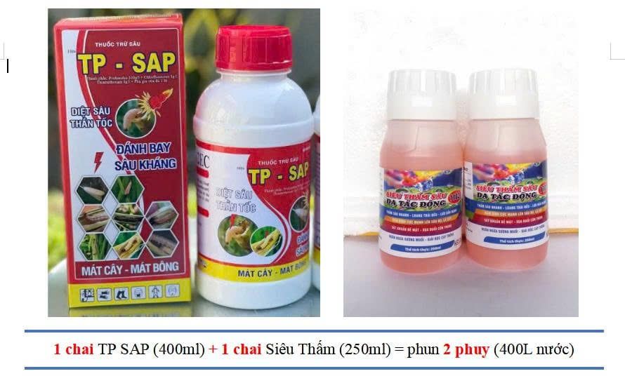 (Chuyên RỆP SÁP) Phòng trừ rệp sáp trên mít, sầu riêng, cà phê, rệp sáp mãng cầu, rệp sáp xoài, bưởi