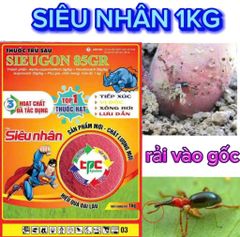 Thuốc Tưới Gốc, Rải Gốc Phòng Trị Sùng Hà, bọ Hà Trên Khoai Lang