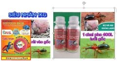 Thuốc Tưới Gốc, Rải Gốc Phòng Trị Sùng Hà, bọ Hà Trên Khoai Lang