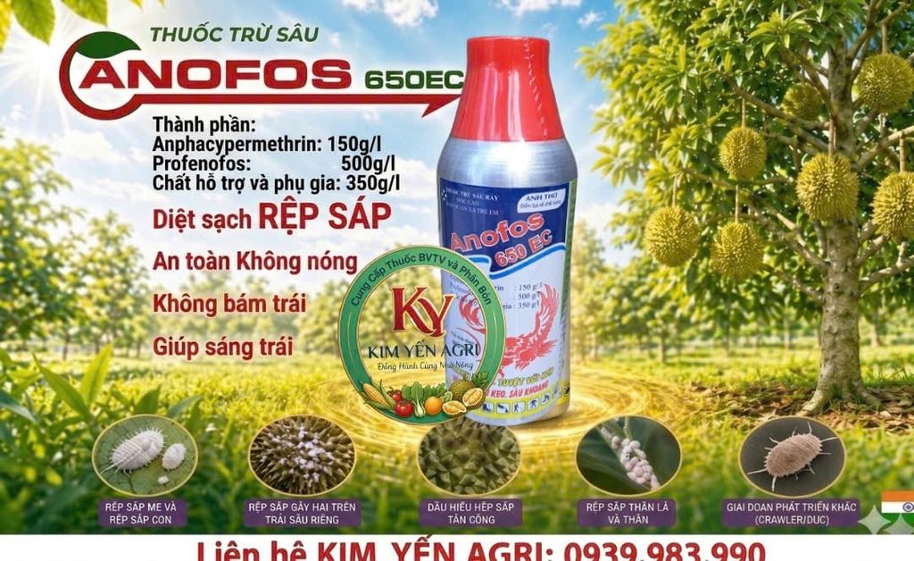 (Chai 480ml) Thuốc Trừ Sâu Rầy ANOFOS 650EC: Đặc trị rệp sáp Cây ăn trái, sâu keo mùa thu trên cây ngô, sâu khoang trên rau màu