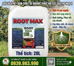 Phục hồi sầu riêng sau thu hoạch, tẩy rong, tưới gốc phục hồi rễ, kích thích rễ, nâng PH đất, cung cấp dinh dưỡng dễ hấp thụ cho cây sầu riêng