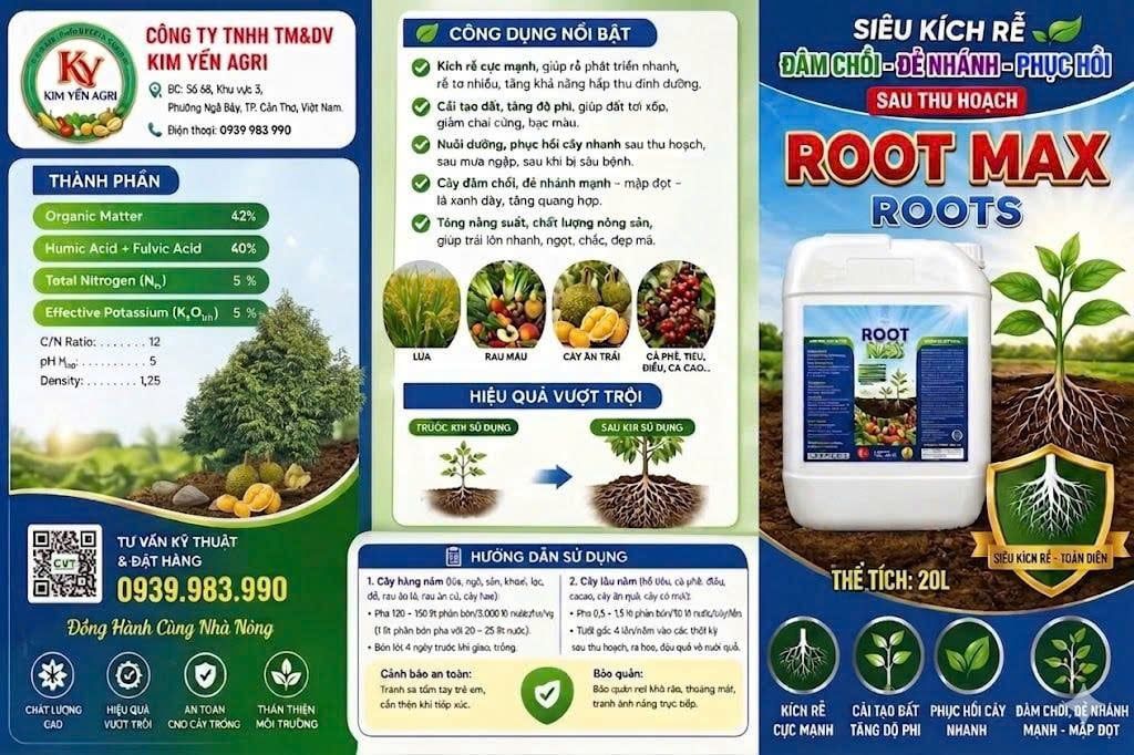 Phục hồi sầu riêng sau thu hoạch, tẩy rong, tưới gốc phục hồi rễ, kích thích rễ, nâng PH đất, cung cấp dinh dưỡng dễ hấp thụ cho cây sầu riêng
