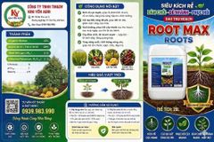 Phục hồi sầu riêng sau thu hoạch, tẩy rong, tưới gốc phục hồi rễ, kích thích rễ, nâng PH đất, cung cấp dinh dưỡng dễ hấp thụ cho cây sầu riêng