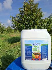 (Can 20 lít) Phân bón hữu cơ TFC ROOTS hiệu ROOT MAX: Chuyên Kích Rễ & Phục Hồi Cây. Siêu kích rễ - Đâm chồi - Đẻ nhánh - Phục hồi sau thu hoạch . Xuất xứ Thổ Nhĩ Kỳ