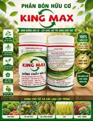 (Hủ 1kg) Phân bón hữu cơ TN-ORGANIC - KING MAX: dưỡng chất hữu cơ, phục hồi cây suy vàng, kích ra rễ mạnh, bung đọt nhanh, mập đọt