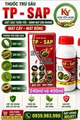 (Rệp sáp cây đào) Phòng trừ rệp sáp gây hại cây đào, không nóng, mát cây, mát bông