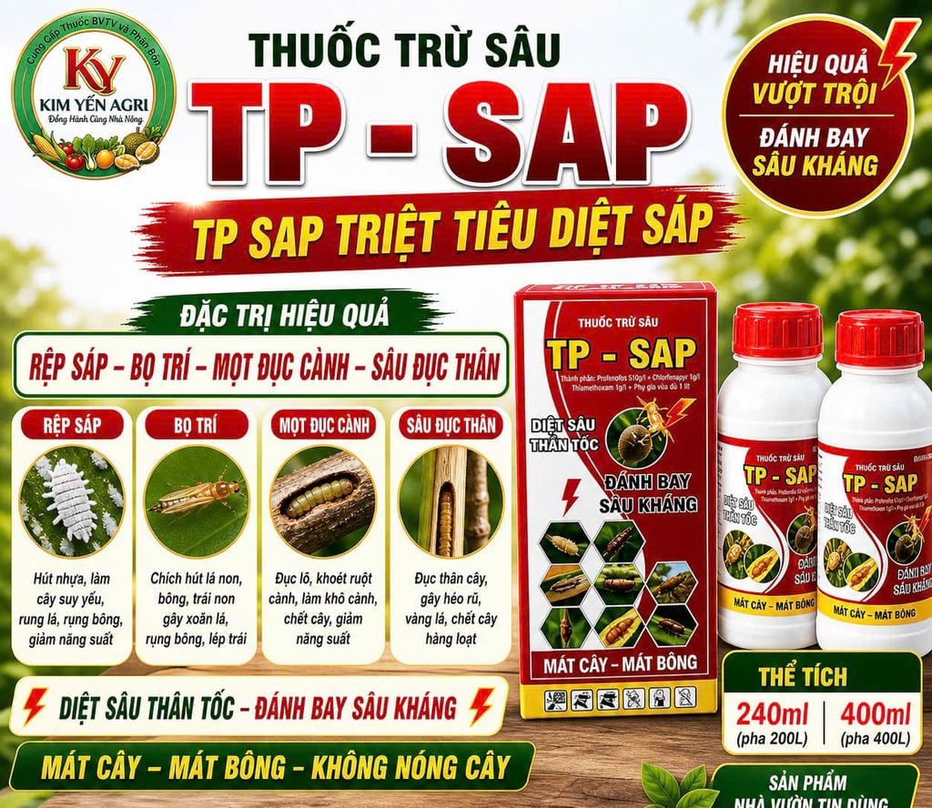 Thuốc đặc trị rệp sáp mít
