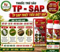 Thuốc đặc trị rệp sáp mít