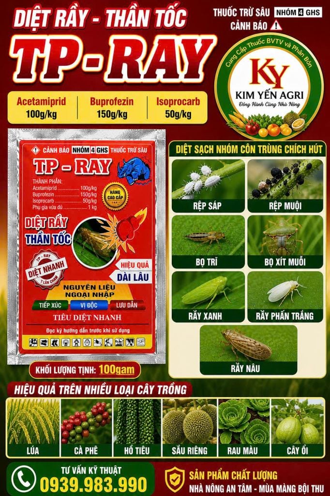 Thuốc trừ sâu CHESONE 300WP hiệu TP-RAY (100g) & TIÊU RẦY (30g): đặc trị bọ xít muỗi hại điều, bọ trĩ, phấn trắng, rầy, rệp sáp, và rệp muội, rầy xanh