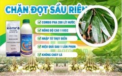 Bộ đôi Chặn Đọt Sầu Riêng KHÔNG PACLO, KHÔNG NÓNG, KHÔNG GÂY CHÁY LÁ: 1 GÓI KEMIRA (500GAM) + 1 CHAI HEXA VILL (1 LÍT)