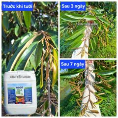 (Can 20 lít) Phân bón hữu cơ TFC ROOTS hiệu ROOT MAX: Chuyên Kích Rễ & Phục Hồi Cây. Siêu kích rễ - Đâm chồi - Đẻ nhánh - Phục hồi sau thu hoạch . Xuất xứ Thổ Nhĩ Kỳ
