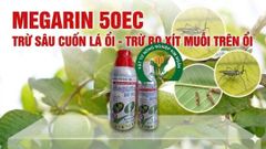 MEGARIN 50EC: thuốc phòng trừ sâu cuốn lá ổi, sâu cuốn tổ trên cây ổi, sâu ăn lá ổi, sâu róm, trừ bọ xít trên ổi