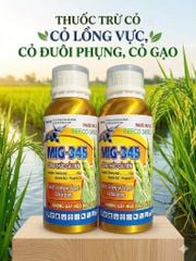 Thuốc trừ cỏ hậu nảy mầm MIG 345, Beeco 345 240ml: đặc trị cỏ lồng vực, cỏ gạo, cỏ đuôi phụng, KHÔNG ĐỎ LÚA