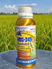 Thuốc trừ cỏ hậu nảy mầm MIG 345, Beeco 345 240ml: đặc trị cỏ lồng vực, cỏ gạo, cỏ đuôi phụng, KHÔNG ĐỎ LÚA
