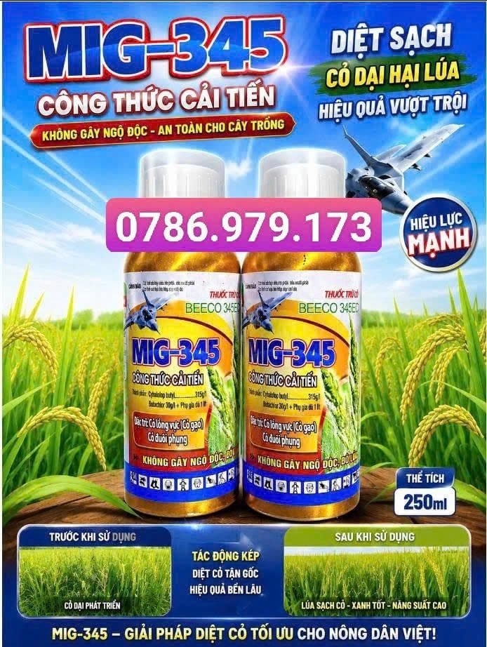 Thuốc trừ cỏ hậu nảy mầm MIG 345, Beeco 345 240ml: đặc trị cỏ lồng vực, cỏ gạo, cỏ đuôi phụng, KHÔNG ĐỎ LÚA