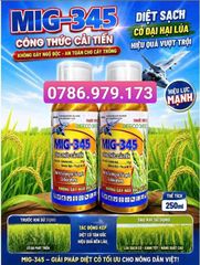 Thuốc trừ cỏ hậu nảy mầm MIG 345, Beeco 345 240ml: đặc trị cỏ lồng vực, cỏ gạo, cỏ đuôi phụng, KHÔNG ĐỎ LÚA