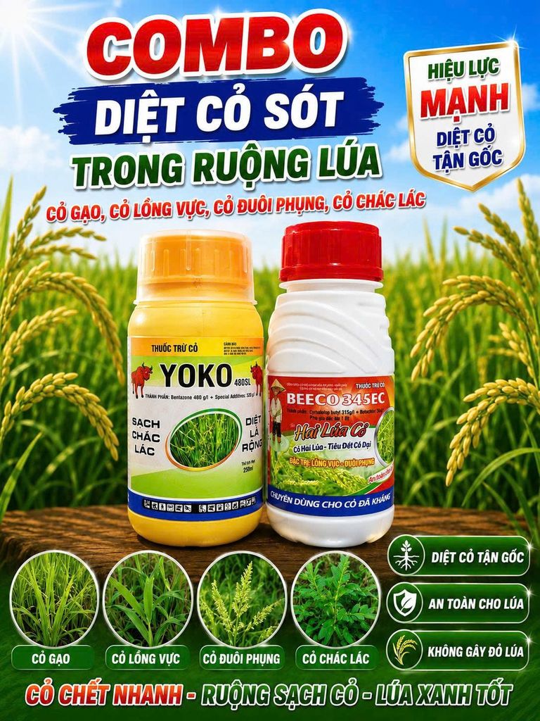 Thuốc trừ cỏ sót như trừ cỏ gạo, cỏ đuôi phụng, cỏ lồng vực và cỏ chác lác trên ruộng lúa