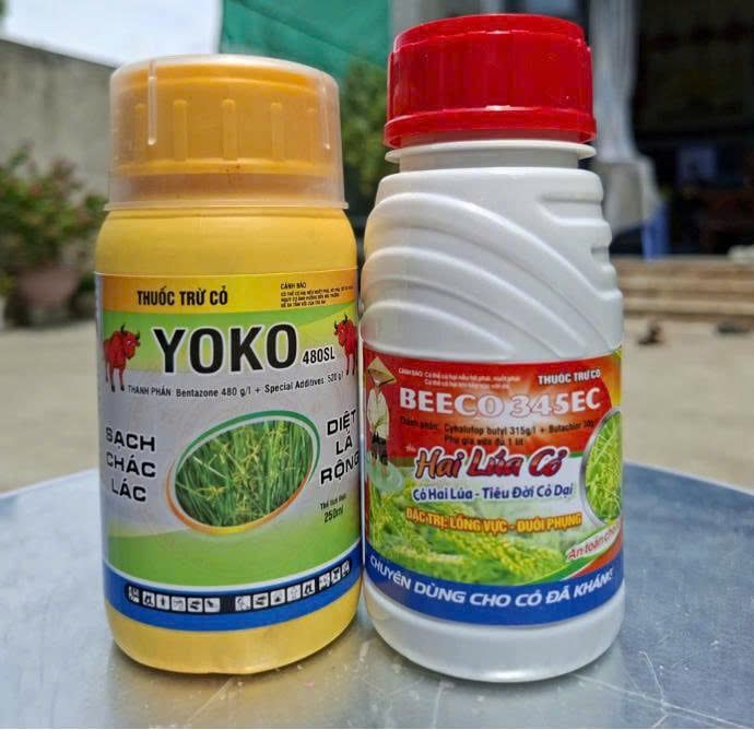 Thuốc trừ cỏ chọn lọc. Trừ cỏ chác lác, trừ cỏ lồng vực, cỏ đuôi phụng, cỏ gạo (cỏ sót ) trên ruộng lúa