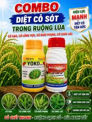 Thuốc trừ cỏ chọn lọc. Trừ cỏ chác lác, trừ cỏ lồng vực, cỏ đuôi phụng, cỏ gạo (cỏ sót ) trên ruộng lúa