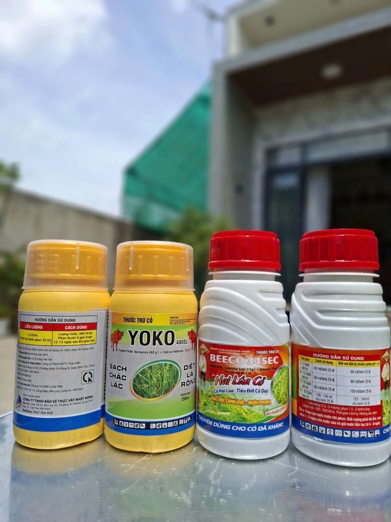 Thuốc trừ cỏ chọn lọc. Trừ cỏ chác lác, trừ cỏ lồng vực, cỏ đuôi phụng, cỏ gạo (cỏ sót ) trên ruộng lúa