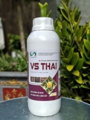 (Chai 1L)  Phân bón lá hữu cơ - Vi sinh - Đa lượng VS THAI: nuôi dưỡng rễ mạnh, cải thiện chất lượng đất.