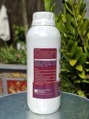 (Chai 1L)  Phân bón lá hữu cơ - Vi sinh - Đa lượng VS THAI: nuôi dưỡng rễ mạnh, cải thiện chất lượng đất.