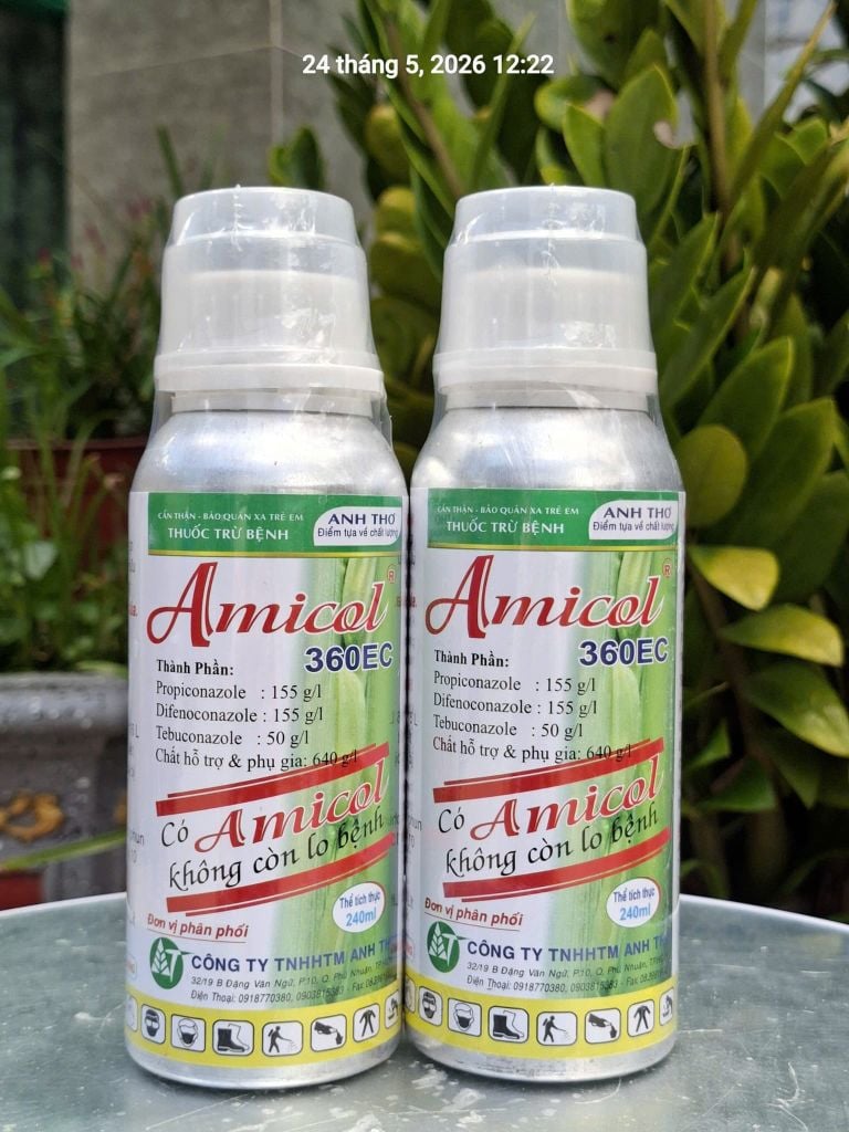 (Chai 240ml) Thuốc trừ bệnh Amicol 360EC Phòng & Trị Lem lép hạt trên lúa. Có Amicol - Không còn lo bệnh.