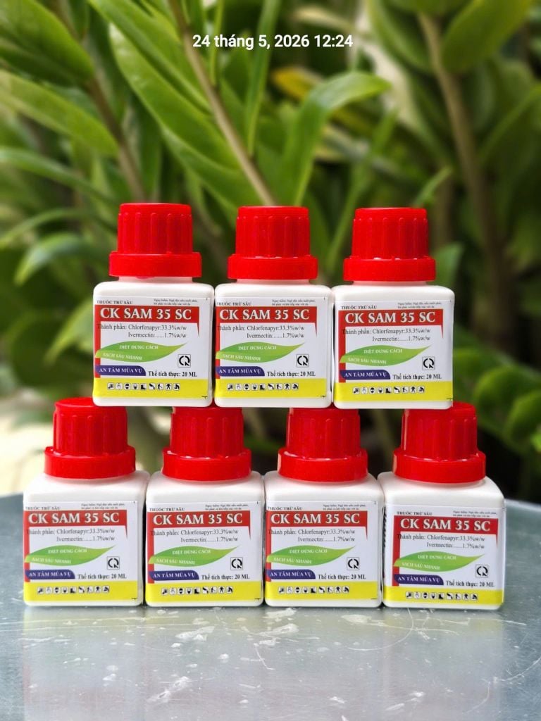 (Chai 20ml) Thuốc Trừ Sâu CK SAM 35SC - Diệt Sâu, Ung Trứng: trừ sâu keo mùa thu, bọ nhảy, sâu tơ, sâu cuốn lá, sâu xanh da láng