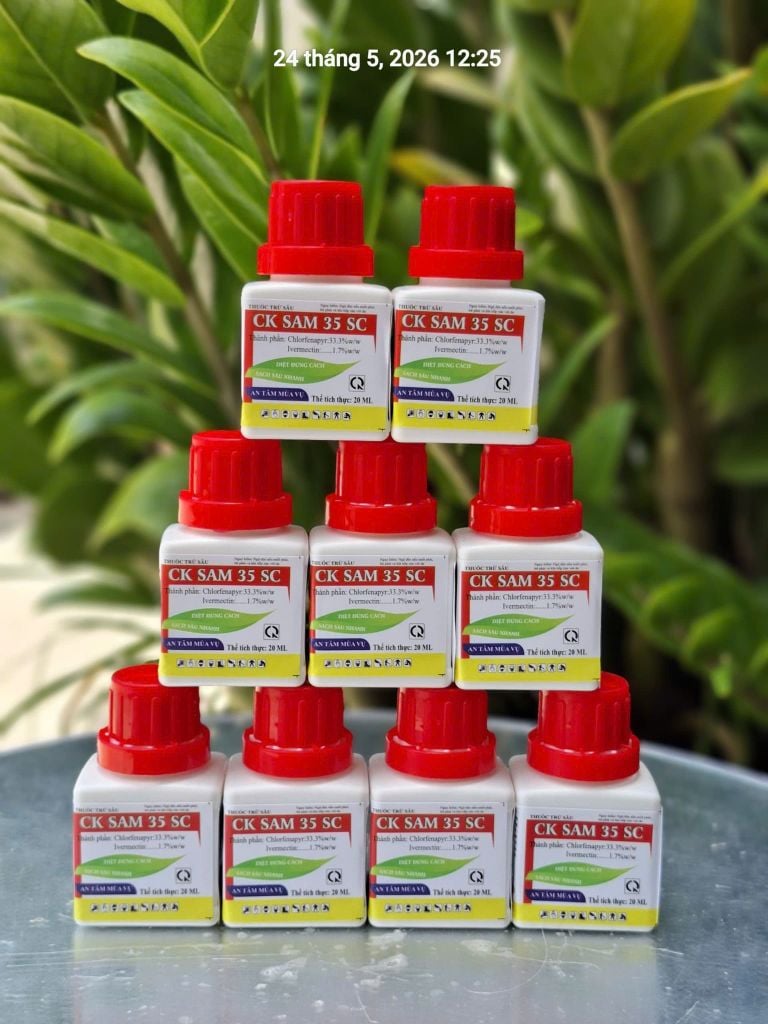 (Chai 20ml) Thuốc Trừ Sâu CK SAM 35SC - Diệt Sâu, Ung Trứng: trừ sâu keo mùa thu, bọ nhảy, sâu tơ, sâu cuốn lá, sâu xanh da láng