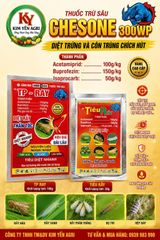 Thuốc trừ sâu CHESONE 300WP hiệu TP-RAY (100g) & TIÊU RẦY (30g): đặc trị bọ xít muỗi hại điều, bọ trĩ, phấn trắng, rầy, rệp sáp, và rệp muội, rầy xanh