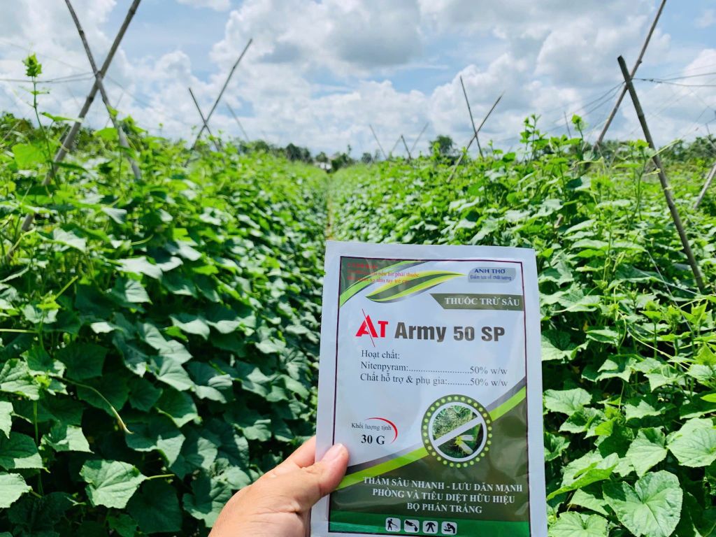 (Gói 30g & 100g) AT ARMY 50SP: trị rệp sáp trên dưa leo, trị rệp sáp trên lá và cả trái dưa leo, dưa chuột