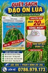 (Gói 30gam) Đặc trị đạo ôn lúa NOFADA 822WP hiệu ĐẠO ÔN TPC -  gồm 3 Hoạt chất mạnh mẽ dứt điểm đạo ôn lá, đạo ôn cổ bông
