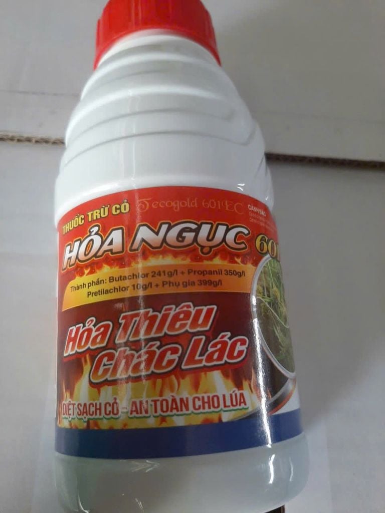 Thuốc Trừ Cỏ Chác Lác trên ruộng LÚA