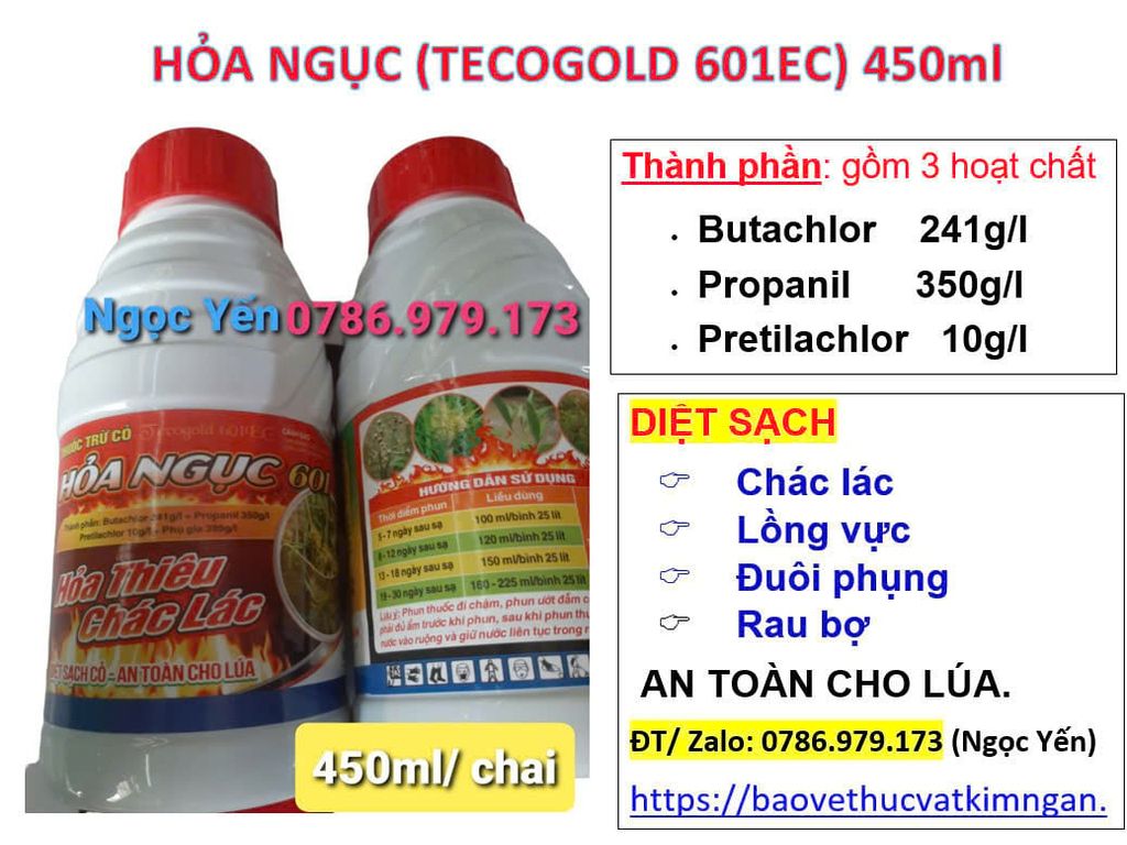 Thuốc Trừ Cỏ Chác Lác trên ruộng LÚA