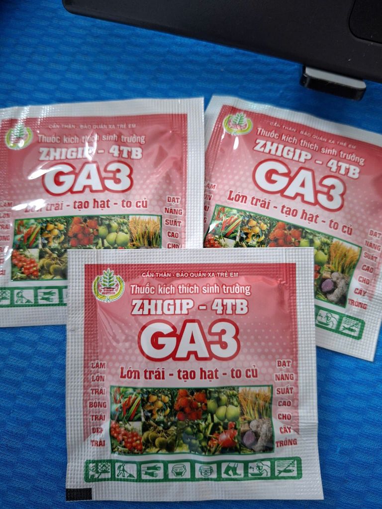 Viên sủi GA3 - Thuốc kích thích sinh trưởng ZHIGIP-4TP 5gam: kích lớn trái, to hạt lúa, to củ đạt năng suất cao
