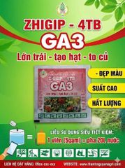 Viên sủi GA3 - Thuốc kích thích sinh trưởng ZHIGIP-4TP 5gam: kích lớn trái, to hạt lúa, to củ đạt năng suất cao