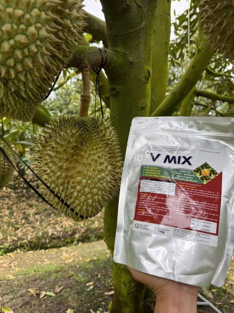 (Túi 1kg) Phân bón trung - vi lượng V MIX: bổ sung Silic (Si), Magie (Mg), Lưu huỳnh (S), Bo (B), Sắt (Fe), Kẽm (Zn), Mangan (Mn)...chuyên dùng cho cây sầu riêng giai đoạn cây đang nuôi trái.