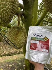 (Túi 1kg) Phân bón trung - vi lượng V MIX: bổ sung Silic (Si), Magie (Mg), Lưu huỳnh (S), Bo (B), Sắt (Fe), Kẽm (Zn), Mangan (Mn)...chuyên dùng cho cây sầu riêng giai đoạn cây đang nuôi trái.