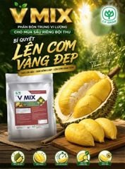 (Túi 1kg) Phân bón trung - vi lượng V MIX: bổ sung Silic (Si), Magie (Mg), Lưu huỳnh (S), Bo (B), Sắt (Fe), Kẽm (Zn), Mangan (Mn)...chuyên dùng cho cây sầu riêng giai đoạn cây đang nuôi trái.