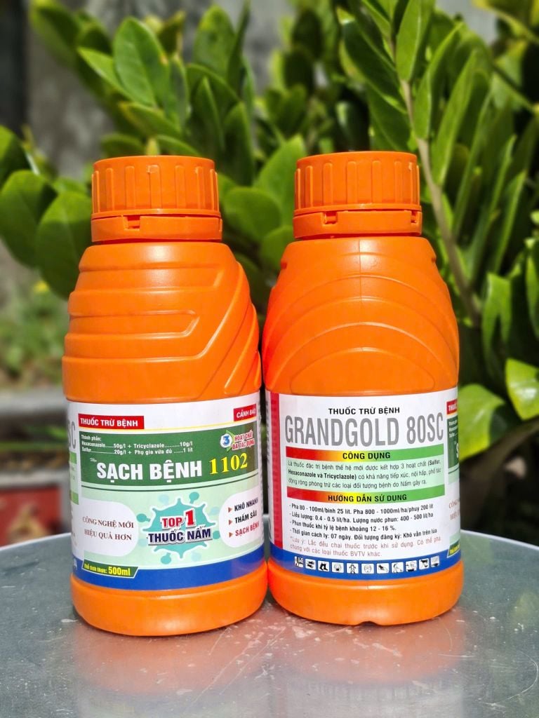 (Chai 500ml) SẠCH BỆNH 1102 - Grandgold 80SC :  đặc trị nấm bệnh, vàng lá, khô vằn, nấm hồng trên sầu riêng