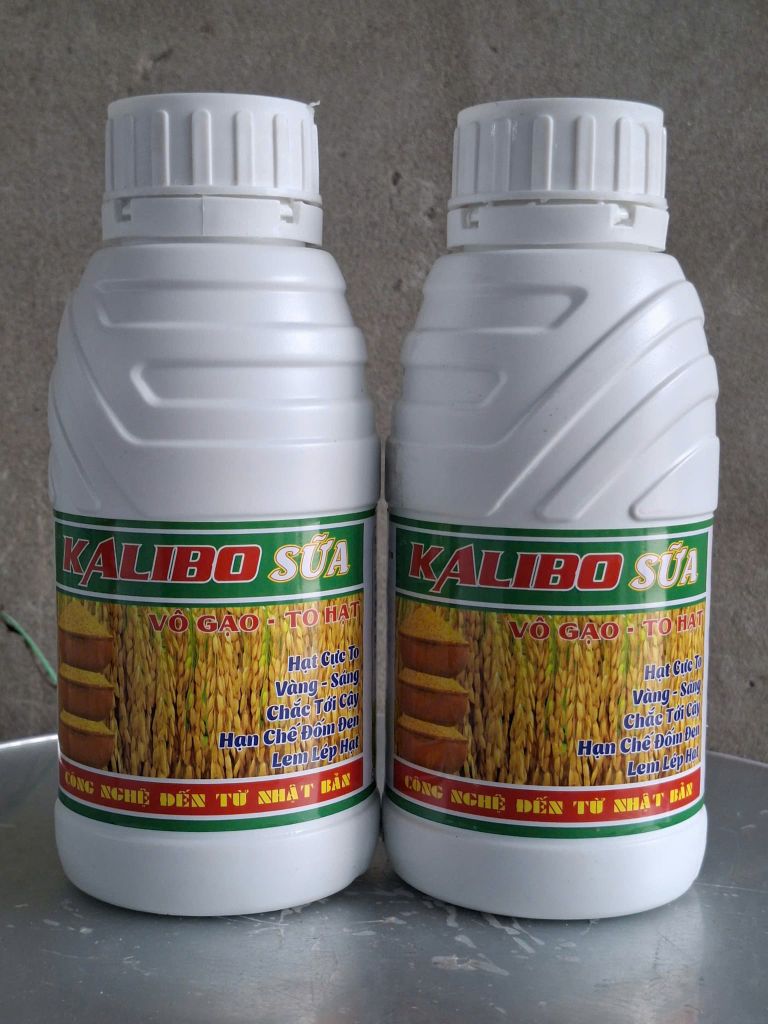 (500ml) Phân bón lá NPK - Trung - Vi lượng: KALIBO SỮA -Vô gạo - to hạt: hạt cực to, vàng-sáng, chắc tới cậy, hạn chế đốm đen, lem lép hạt. Công nghệ đến từ Nhật Bản