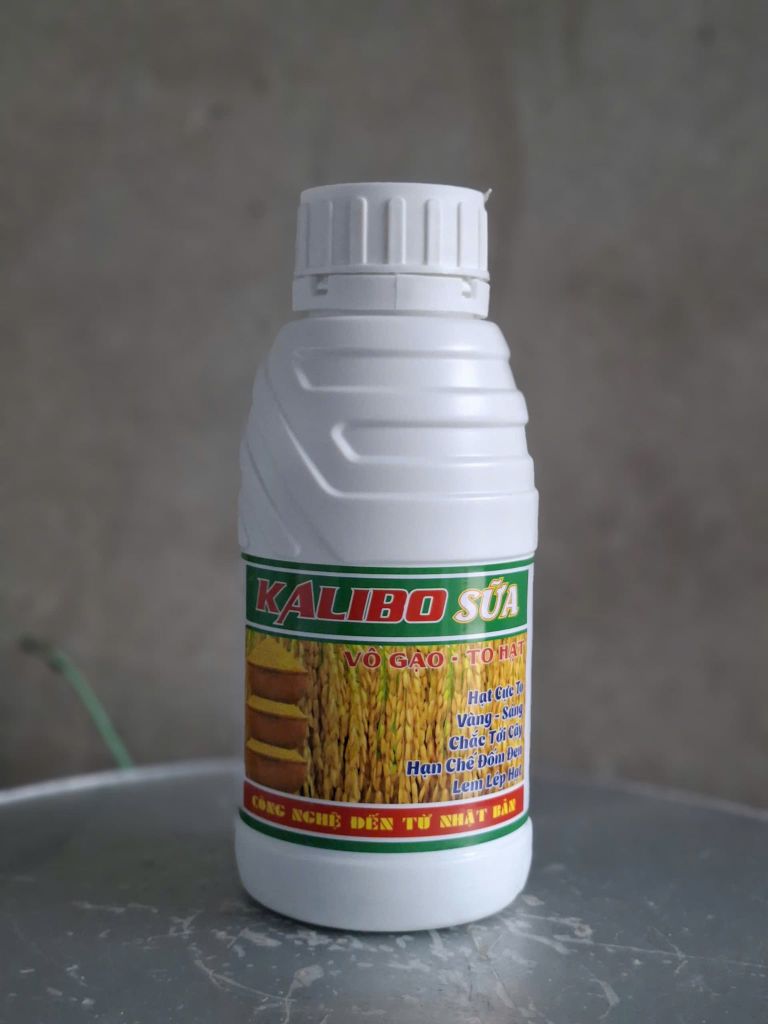 (500ml) Phân bón lá NPK - Trung - Vi lượng: KALIBO SỮA -Vô gạo - to hạt: hạt cực to, vàng-sáng, chắc tới cậy, hạn chế đốm đen, lem lép hạt. Công nghệ đến từ Nhật Bản