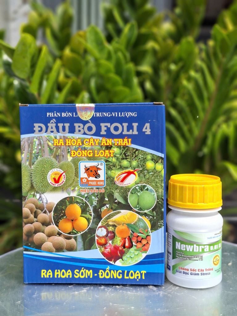 Bộ đôi rước mắt cua trên sầu riêng: ĐẦU BÒ FOLI 4 + NEWBRA 0.01SL: ra hoa sớm, đồng loạt; điều hòa sinh trưởng cây trồng giai đoạn ra hoa