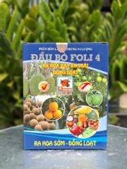 Bộ đôi rước mắt cua trên sầu riêng: ĐẦU BÒ FOLI 4 + NEWBRA 0.01SL: ra hoa sớm, đồng loạt; điều hòa sinh trưởng cây trồng giai đoạn ra hoa